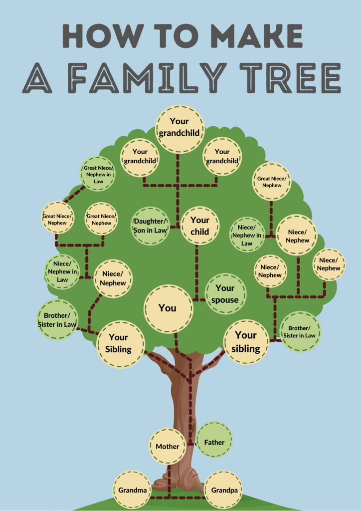 Arbol Genealogico en Inglés para niños - English4Kids