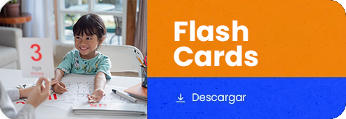 Flash Cards