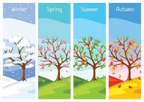 Las estaciones del año en inglés para niños - English4Kids