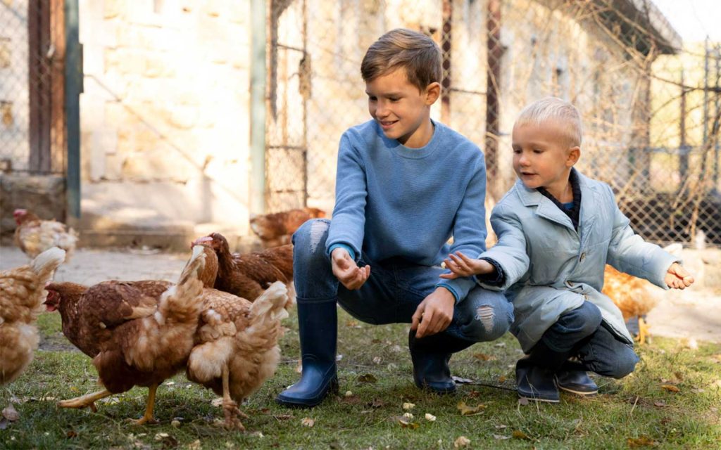 animales de granja en ingles - English4Kids