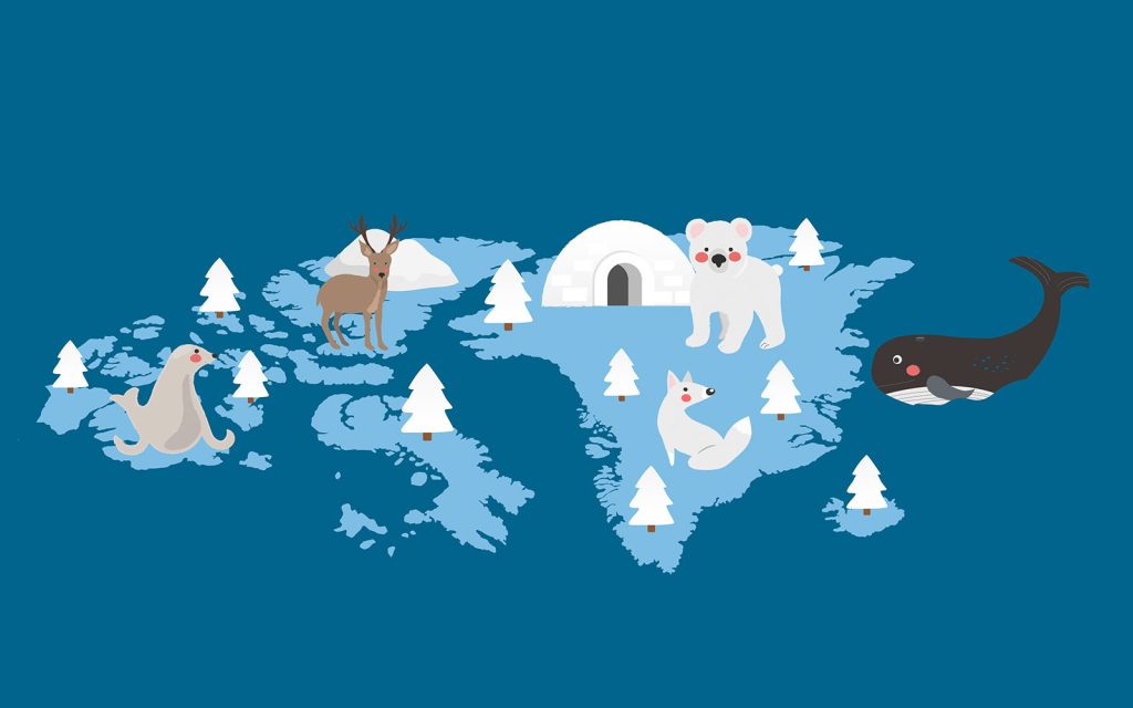 Animales del ártico en inglés - English4Kids