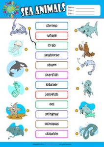 Aprende los animales marinos en inglés - English4kids