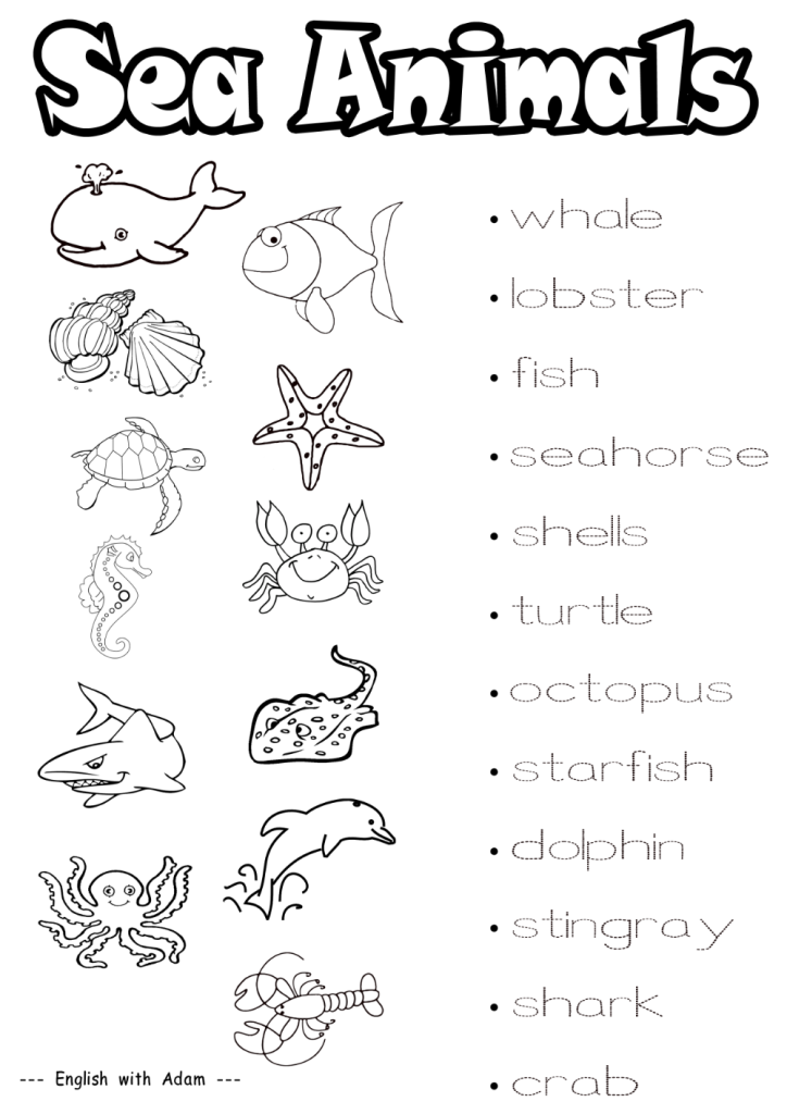 animales marinos en ingles - English4Kids