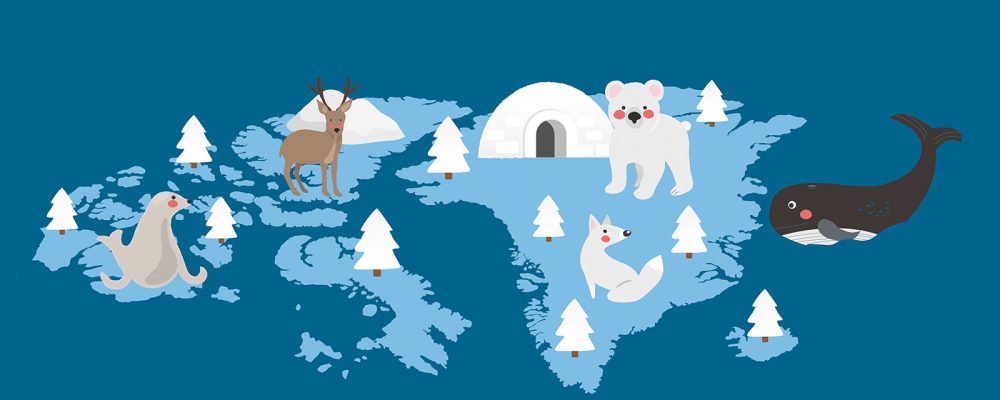 Animales del ártico en inglés - English4Kids
