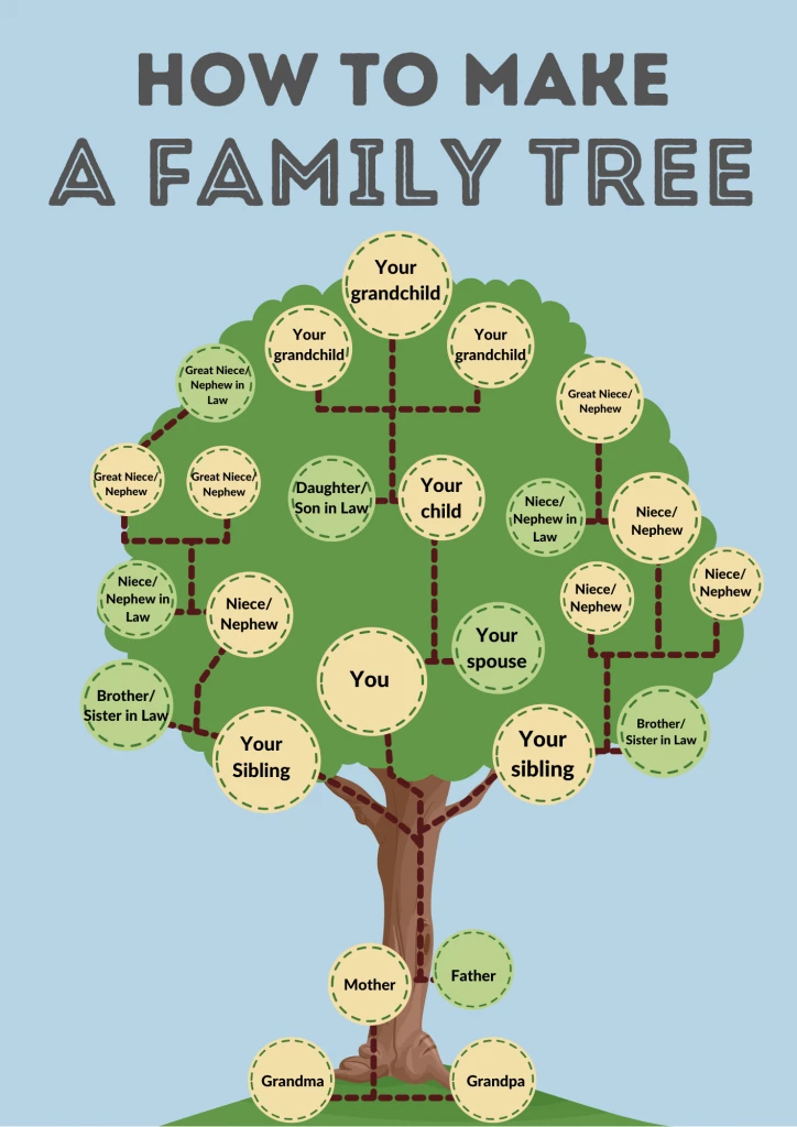 Arbol Genealogico en Inglés para niños - English4Kids