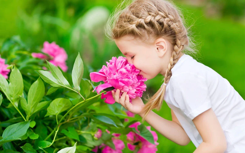 Smell - English4Kids